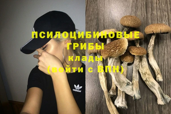 меф Алексин