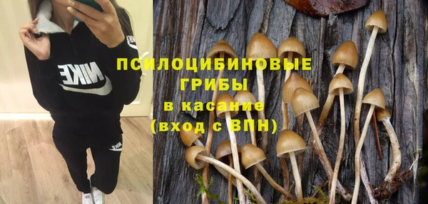 кокаин Алексеевка