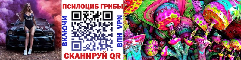 дарнет шоп  Гдов  Галлюциногенные грибы Psilocybine cubensis 